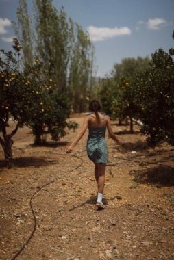 Ilık bir yaz gününde, güneşli bir portakal bahçesinde yürüyen yeşil elbiseli bir kadının arka görüntüsü..