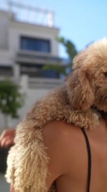 Parlak bir günde, arka planda güneş ışığı olan neşeli bir fino köpeğini tutan bir kadın yürek ısıtan bir sahne yaratıyor.