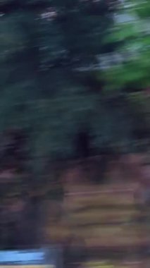 Bulutlu yeşil ağaçların manzarası doğanın ve sükunetin güzelliğini yakalıyor..
