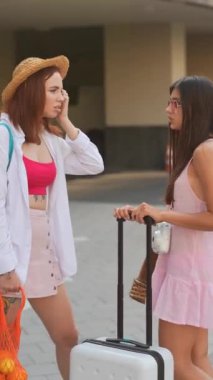 İki şık arkadaş, yoğun havaalanındaki heyecanlı yaz maceraları boyunca hareketli ve canlı etkileşimlerden hoşlanırlar.