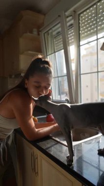 Bir kadın, parlak, güneşli bir mutfakta yemek pişirirken sevimli kedisiyle keyifle vakit geçirir.