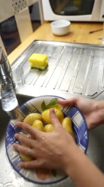 Hanson yaklaşımı modern mutfaklarda taze ve lezzetli patateslerin temizleme yöntemini büyük ölçüde geliştirebilir.