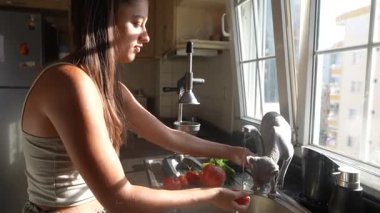 Güneşli bir mutfakta, bir kadın taze sebzeleri yıkarken neşeli bir kedi tezgahı keşfeder ve cazibesini katar.