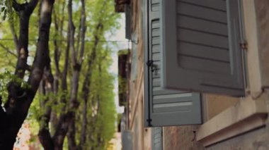 Dışarıdaki yemyeşil yeşilliği güzel bir şekilde gözler önüne seren sakin ve huzurlu bir pencere manzarası.