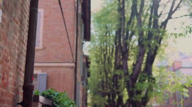 Canlı ağaçlar ve güzel tuğla mimari ile dolu büyüleyici bir ara sokak. Huzurlu ve huzurlu yürüyüşler için mükemmel.