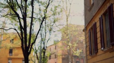 Sakin bir şehir ortamında, bereketli ağaçlarla çevrili, sıcak güneş ışığıyla yıkanmış renkli binalar sergileniyor.