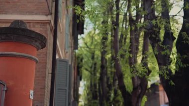 Canlı yeşil ağaçlar ve yeşilliklerle birlikte rustik binaların bulunduğu büyüleyici ve pitoresk sokakları keşfedin.