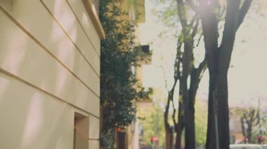 Manzaralı şehir manzarası ağaçlar, çarpıcı mimari ve canlı doğal güzellik arasındaki ahengi gösteriyor.