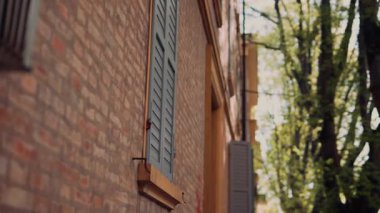 Canlı bir şehir sokak manzarası, bereketli ağaçlar, dokulu tuğla duvarlar ve büyüleyici mavi kepenkler.