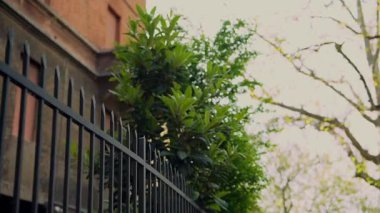 Huzurlu ve sakin bir manzara sergiliyor yapraklı bir çitin yanında çarpıcı bir şehir manzarası ılık tonlarla süslenmiş.