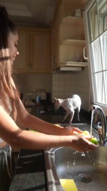 Parlak ve güneşli bir mutfak sahnesinde, neşeli bir evcil hayvan ilginç bir şekilde çeşitli taze meyve ve sebzeleri keşfeder.