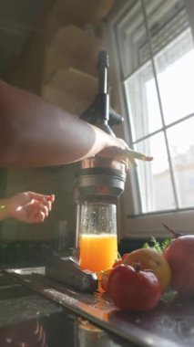 Manüel bir narenciye ile canlı ve renkli meyveler kullanarak çeşitli lezzetli, taze meyve suları üretebilirsiniz.