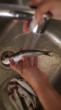 Bir insan mutfak lavabosunda balık yıkıyor, onu pişirmeye ya da aşçılık hazırlıklarına hazırlıyor.