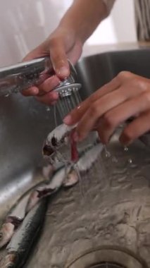 Bir insan taze balığı lavaboda iyice duruluyor. Yemek pişirmeden ya da hazırlanmadan önce düzgün bir temizlik sağlıyor.