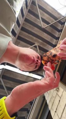 Lezzetli ve eğlenceli bir sahne. Lezzetli yemekleri paylaşan elleri tasvir ediyor.