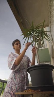 Güzel desenli bir bornoz giyen genç bir kadın güzel balkonundaki saksıya dikkatlice bakıyor.