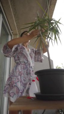 Rahat bir bornoz giymiş bir kadın balkonunda saksı bitkisiyle ilgileniyor ve bahçe işleri sanatının keyfini çıkarıyor.