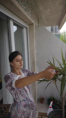 Bir kadın sevgi dolu bir şekilde gelişen iç mekan bitkisiyle ilgilenir, balkonunda gerçekten rahatlatıcı bir hava sergiler.