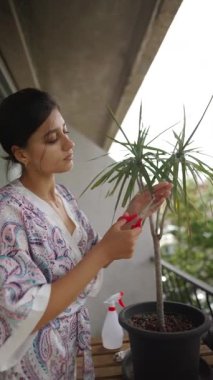 Bir kadın dikkatlice buduyor ve balkonunda yemyeşil çiçeklerle çevrili güzel bir çiçekle ilgileniyor.