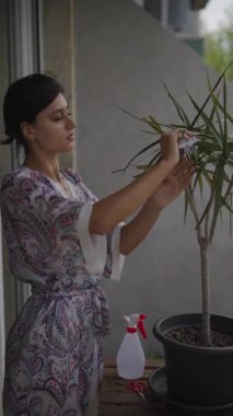 Bir kadın, sıcak balkon alanının sıcak rahatlığının tadını çıkarırken canlı bitkisini nazikçe önemser.