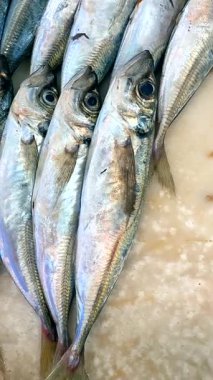 Yüksek kalite balıklar, canlı ve canlı görünümlerini etkili bir şekilde sergileyerek, hareketli pazarda düzenli bir şekilde düzenlenir.