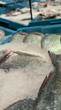 Canlı ve renkli bir piyasa, buzda dinlenen taze balıkların güzel bir şekilde sergilenmesini sağlıyor.