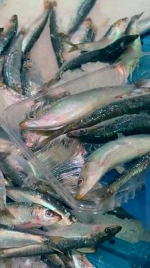 Pazar kutularında buzda sergilenen renkli balıklar, yerel pazarda seçime ve satın almaya hazır.