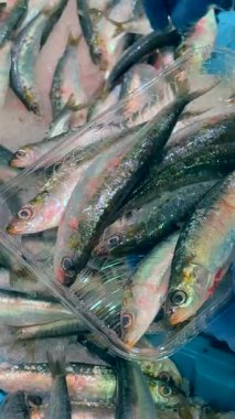 Gelin ve bugün canlı ve canlı bir pazar atmosferinde bulunan en taze balıkların şaşırtıcı çeşitliliğini keşfedin.