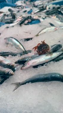 Taze balık ve yengeç rengarenk bir şekilde sergileniyor, hareketli bir deniz ürünleri pazarında, gözler için bir ziyafet.