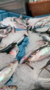 Canlı ve renkli bir taze balık ve deniz ürünleri çeşidi kalabalık bir pazarda buzda güzelce sergilenir.