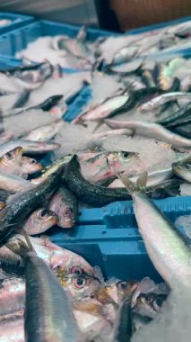 Mavi kutularda buzda güzel bir şekilde sergilenen taze balıklar deniz ürünleri severler ve aşçılar için mükemmeldir.