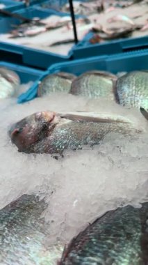 Canlı etkinlikleri olan hareketli bir piyasa grubu taze balık gibi buzda satılmaya hazır hevesli müşterileri bekliyor.