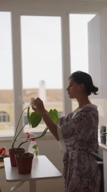 Parlak, güneşli bir mutfakta çiçeklerini sevgiyle besleyen bir kadını resmeden huzurlu ve huzurlu bir an.