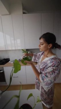 Huzurlu ve huzurlu bir an, neşeyle dolu sıcak ve rahat bir mutfak ortamında ev bitkilerini beslemekle geçti.