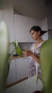 Bir kadın, parlak, modern ve şık bir şekilde tasarlanmış mutfaktaki başarılı ev bitkileriyle ilgilenir.