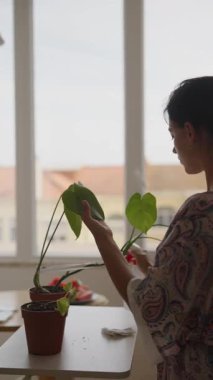 Güzel ve huzurlu bir an. Kapalı alandaki bitkilerle ilgilenmek. Sıcak bir pencere kenarında canlı yeşil bir hayat beslemek.