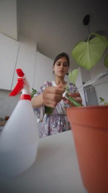 Kapalı alandaki bitkileriyle ilgilenen bir kadın sprey şişesiyle doğaya olan derin sevgisini gösteriyor.