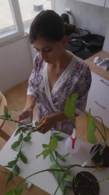 Bir kadın, kapalı alandaki bitkilere özen göstererek ve çeşitli bitki bakım teknikleri göstererek yeteneklerini sergiliyor.
