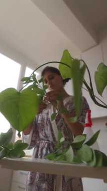 In a bright and serene kitchen atmosphere, a woman lovingly tends to her collection of indoor plants