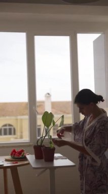 Bir kadın güzel bitkilerini parlak bir mutfakta yetiştirir. Bu da yaratıcılığa ve rahatlığa ilham verir. Bir vaha yaratır.