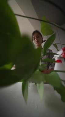 Bireysel bir sprey kapalı alandaki bitkileri spreyler, bitki bakımını gözler önüne serer ve rahat bir ortamda doğayı takdir eder..