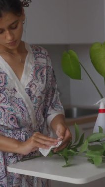 Bir kadın, şık bir mutfak ortamında güzel yeşil bitkilerini özenle siliyor ve onunla ilgileniyor.