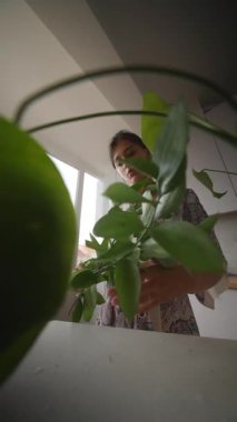 Kapalı alandaki bitkilerle ilgilenen, doğa sevgisini sergileyen ve bahçe işlerini tatmin edici bir hobi olarak yapan biri.