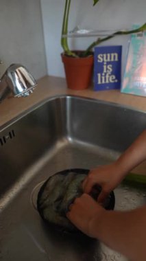 Bir insan mutfak lavabosundaki taze karidesleri özenle temizleyip mutfak hazırlığı sanatını sergiliyor.