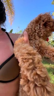 Güneşin altında sevimli küçük bir köpek yavrusu, güzel bir bahçede neşeli ifadeler sergiliyor..