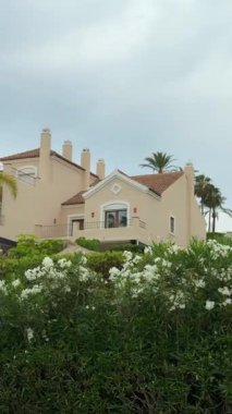 Çok güzel palmiye ağaçları, canlı çiçekler ve bulutlu bir gökyüzünün sergilendiği büyüleyici bir sahil manzarası.