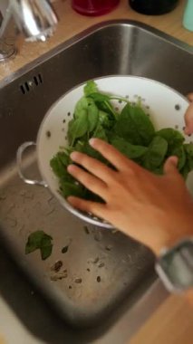 Bir insan dikkatlice mutfak lavabosunun üzerine yerleştirilmiş taze ve canlı ıspanak yapraklarını duruluyor.