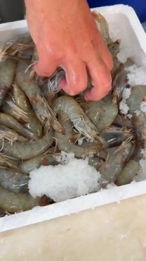 Pırıl pırıl taze karidesler buzun üzerinde zarif bir şekilde sunulur. Bu da onları çeşitli aşçılık ürünleri için mükemmel kılar.