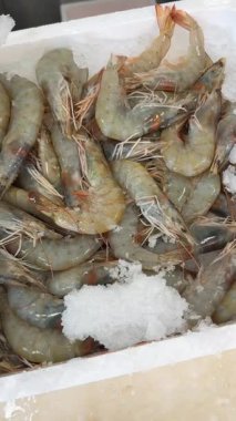 Lezzetli karideslerin tadını çıkarın. Buzun üzerinde zarif bir şekilde sunuluyor. Deniz ürünleri aşıkları ve çeşitli lezzetli yemekler için mükemmel.