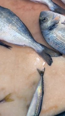 Canlı bir pazarda sergilenen taze balık. Yüksek kaliteli resimli mutfak içeriği için mükemmel